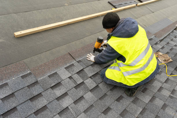 Roof Gutter Cleaning in Oronoco, MN