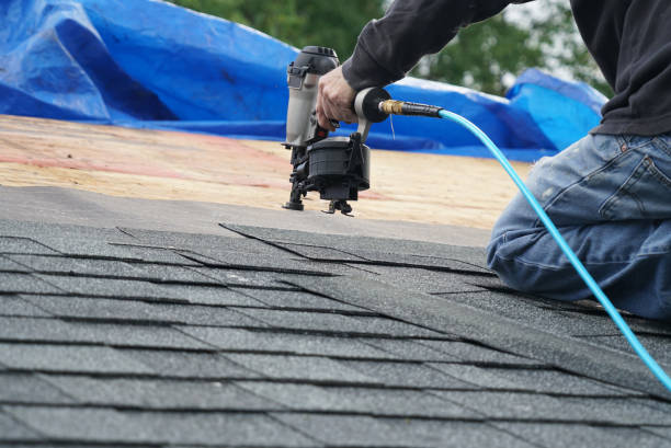 Gutter Installation and Roofing in Oronoco, MN